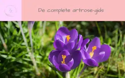 De complete artrose gids voor actieve vrouwen