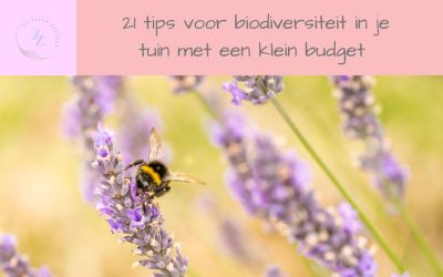 Zo transformeer je een (stads)tuin in een eco-paradijs